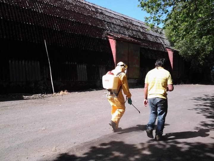 Plaguicidas Oct 2011